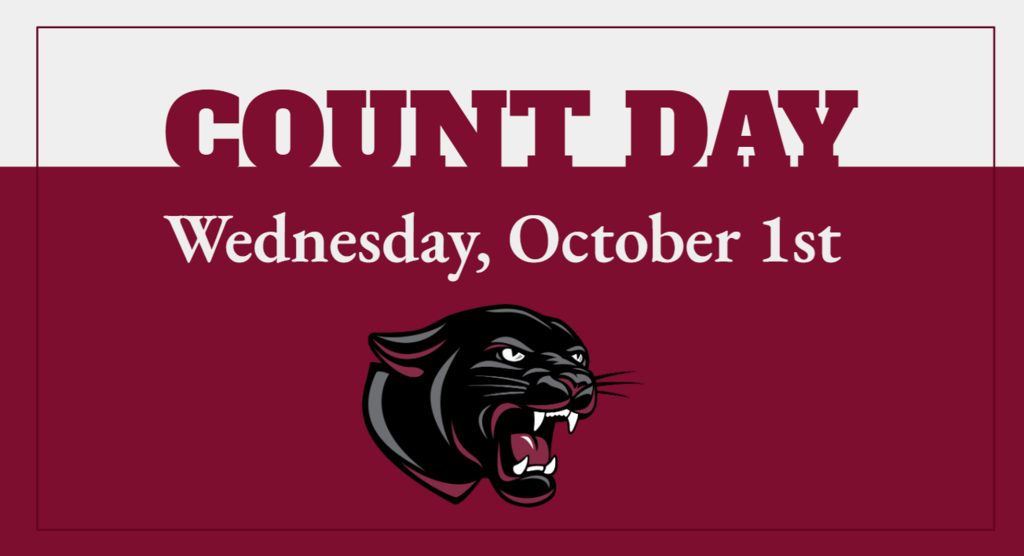 25 count day