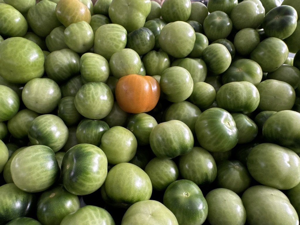 78656488874__62430E67-8ABC-45DC-AEFD-8986AAA37FEE