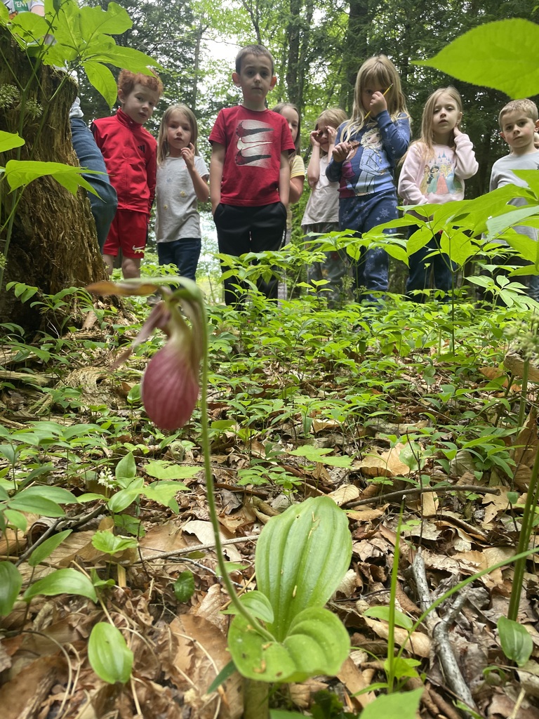 Nature trail