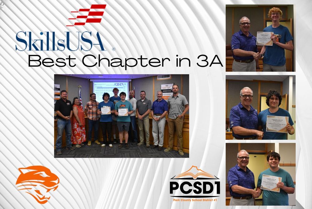 Skills USA Best Chapter 3A