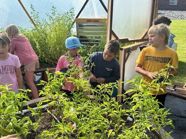 Sunset Greenhouse