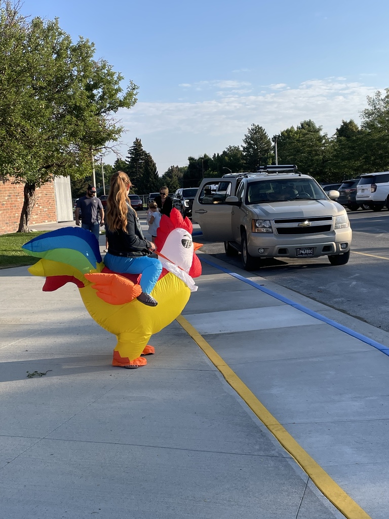 chicken
