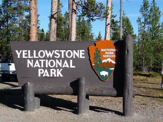 Yellowstone