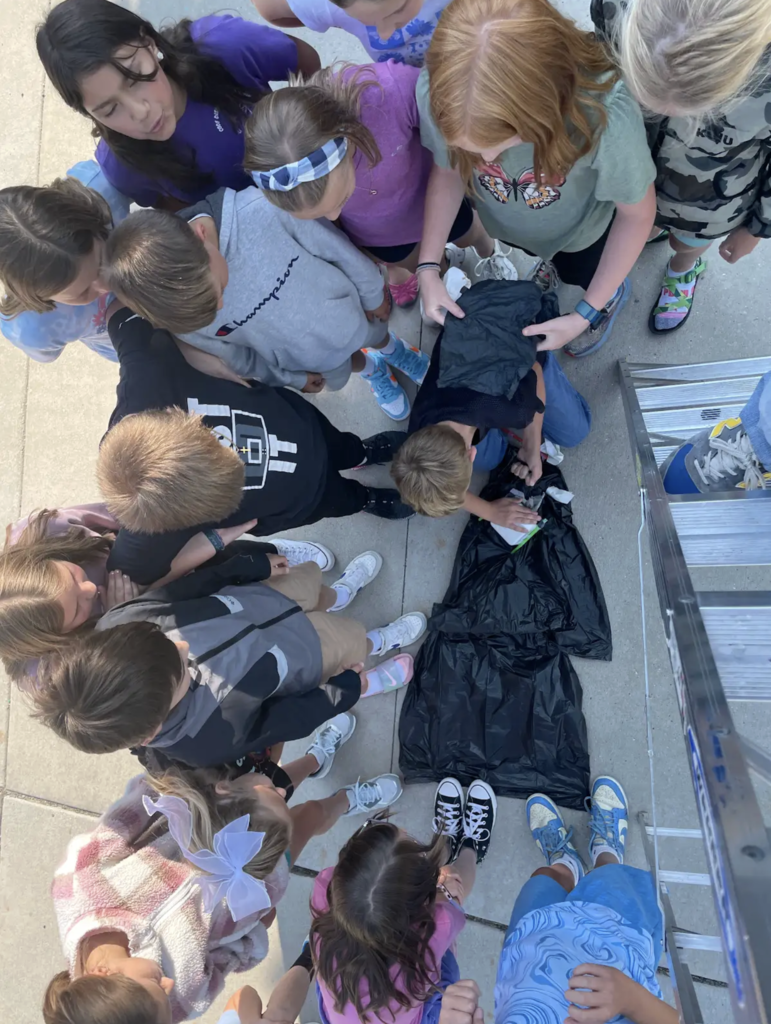 Egg Drop