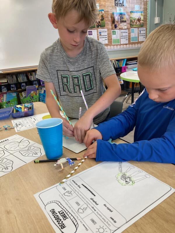 Science project