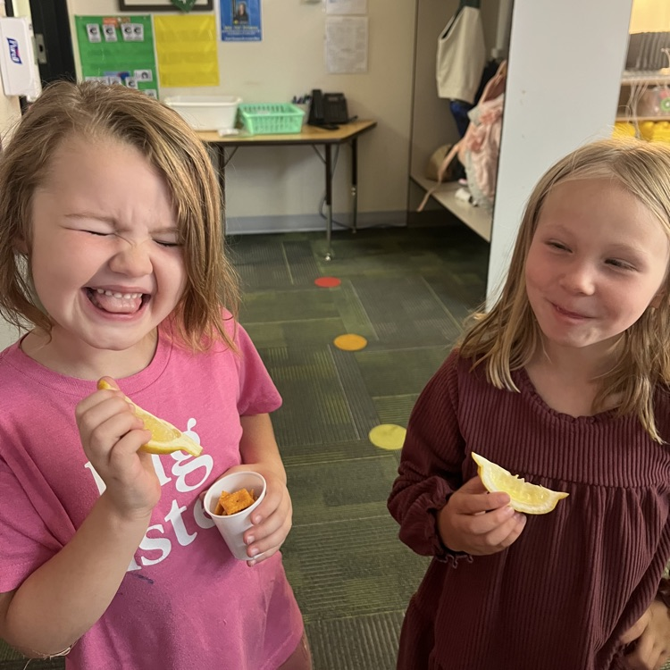 lemon faces