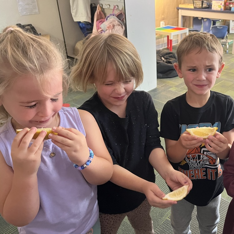 lemon faces