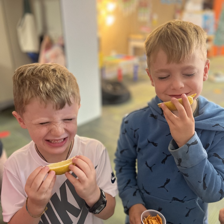 lemon faces