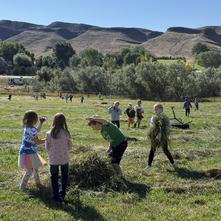 outdoor learning 