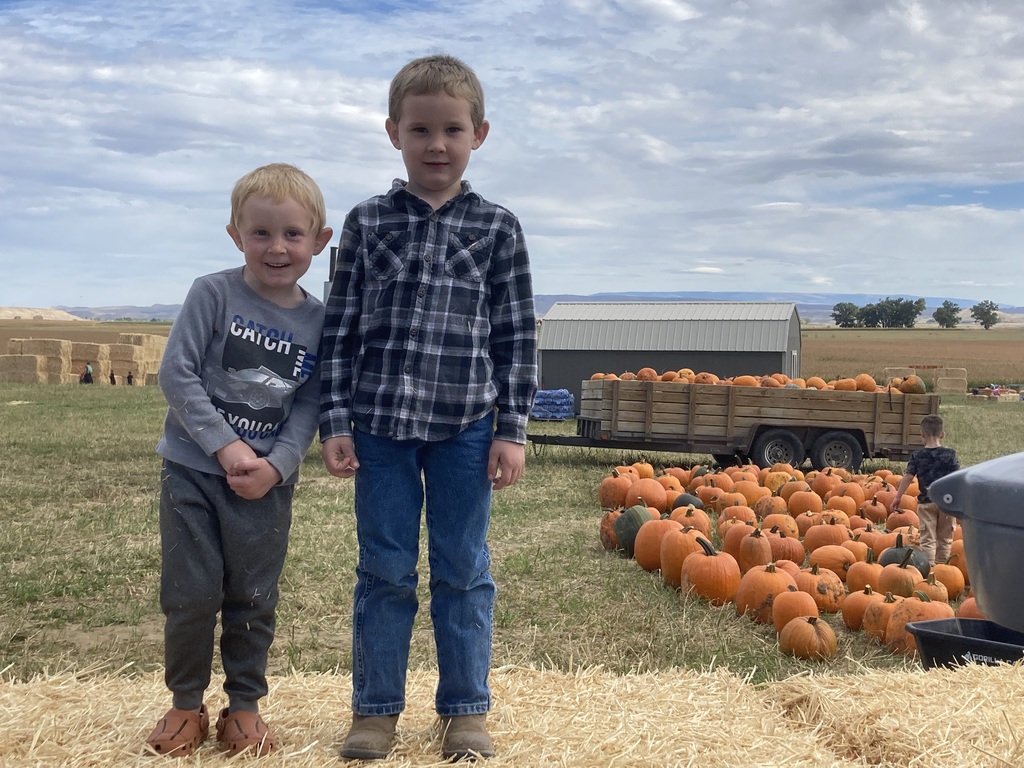 pumpkin
