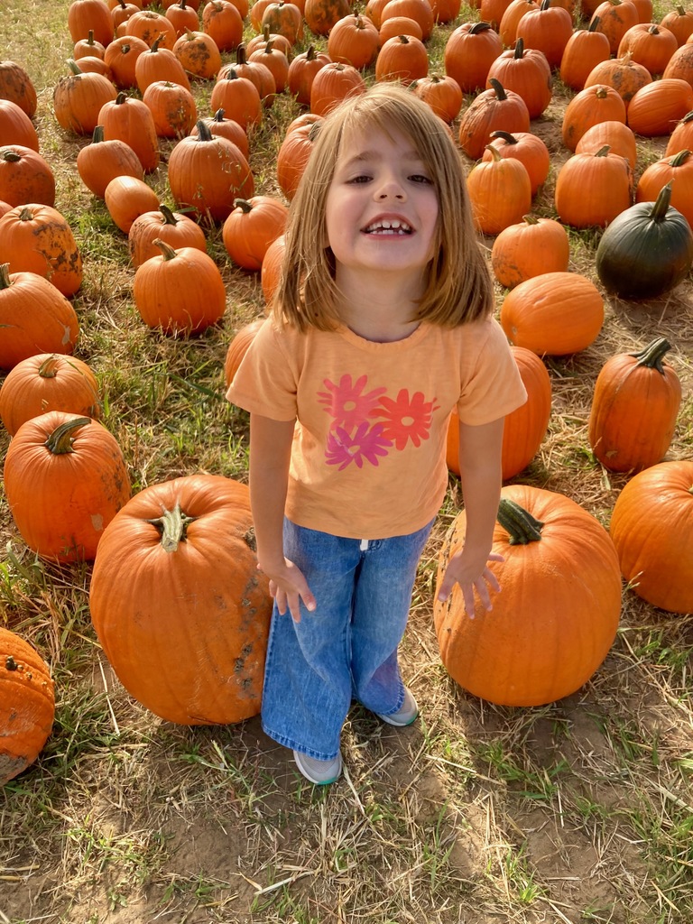 pumpkin