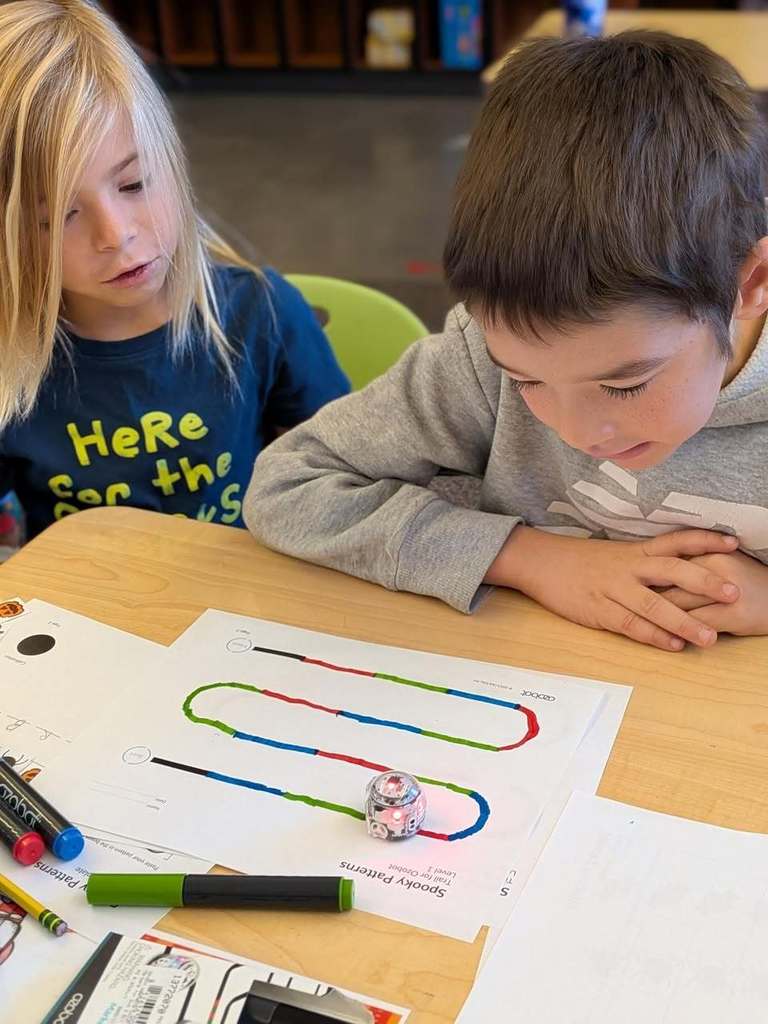 2nd & 3rd grade STEM buddies