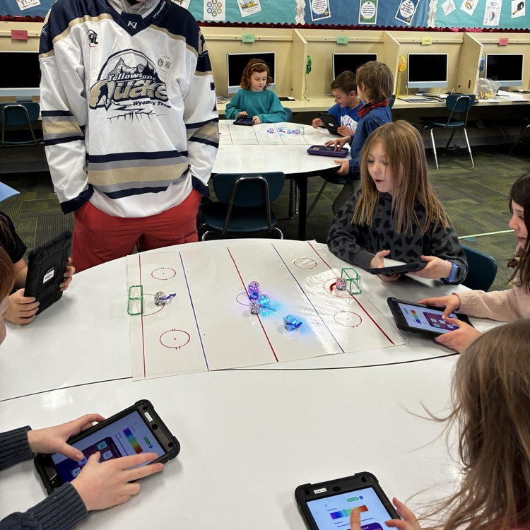stem hockey