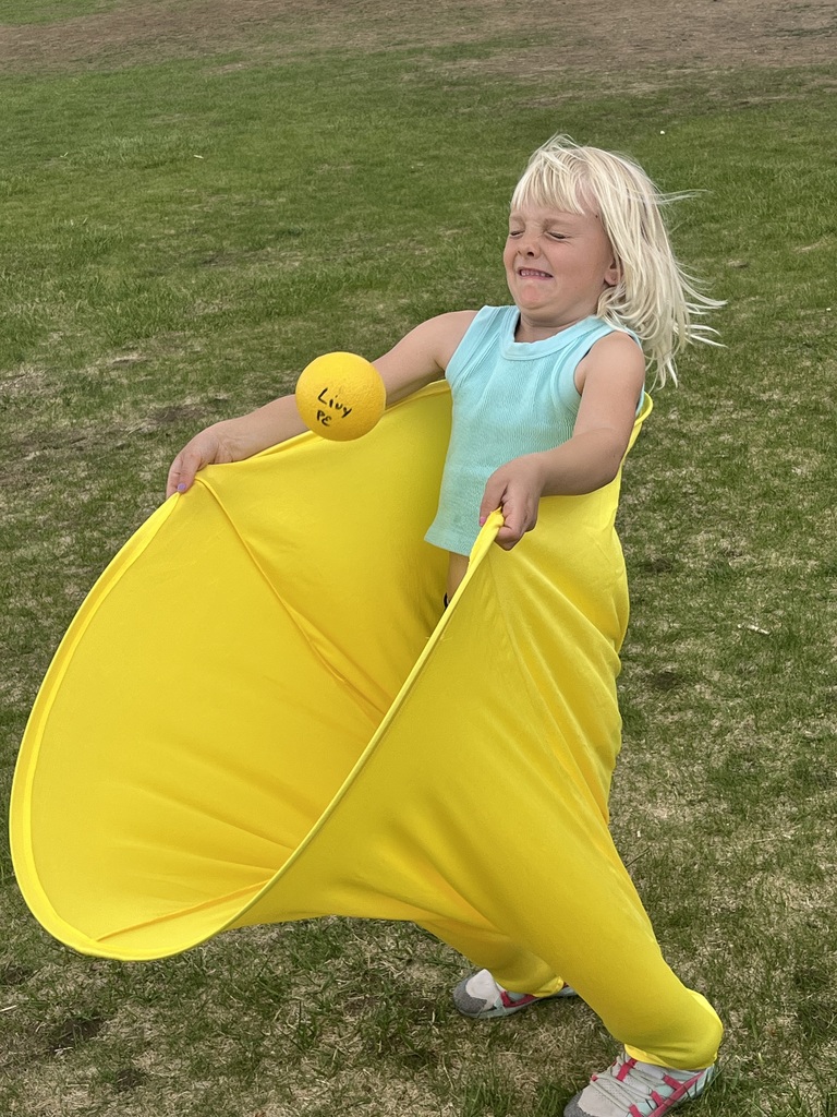 field day