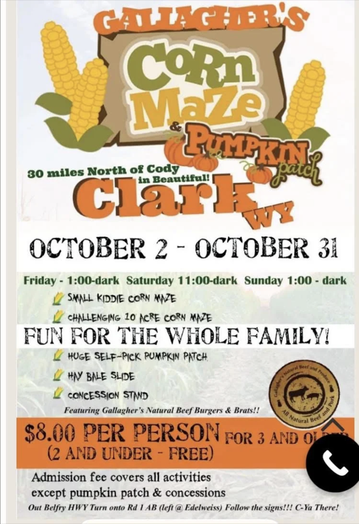 Corn Maze