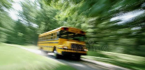 Fast Bus