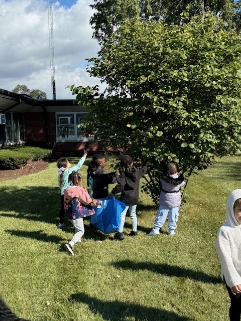 prek students looking at a tree
