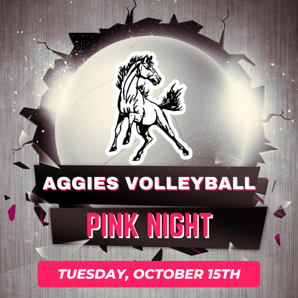 PINK NIGHT