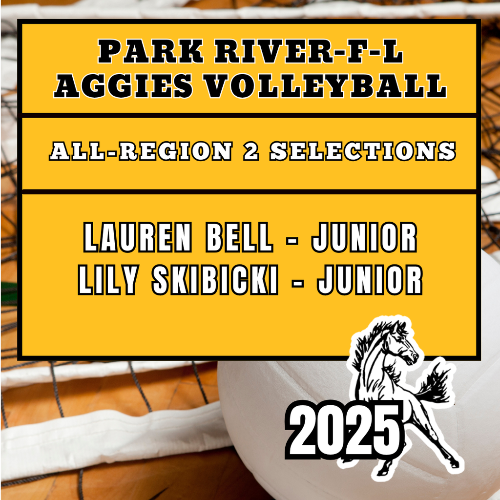 All-Region Volleyball