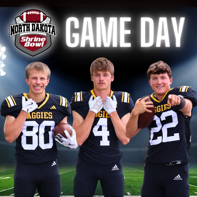 shrine bowl
