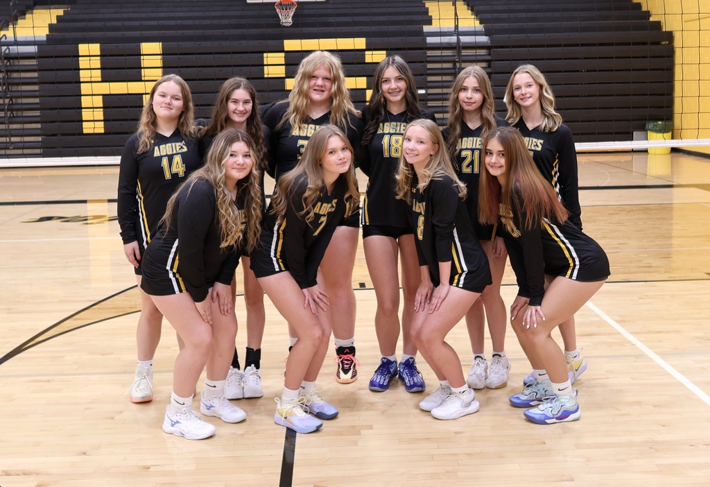JV