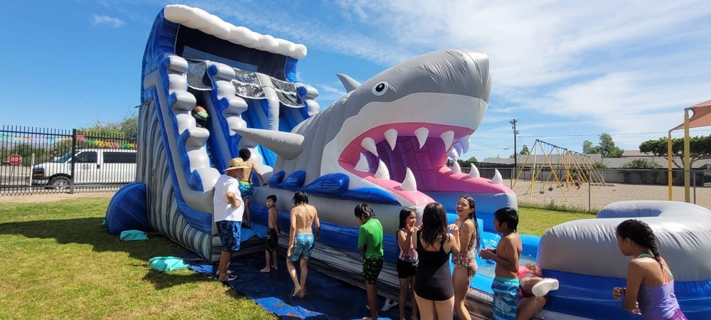 Water Day