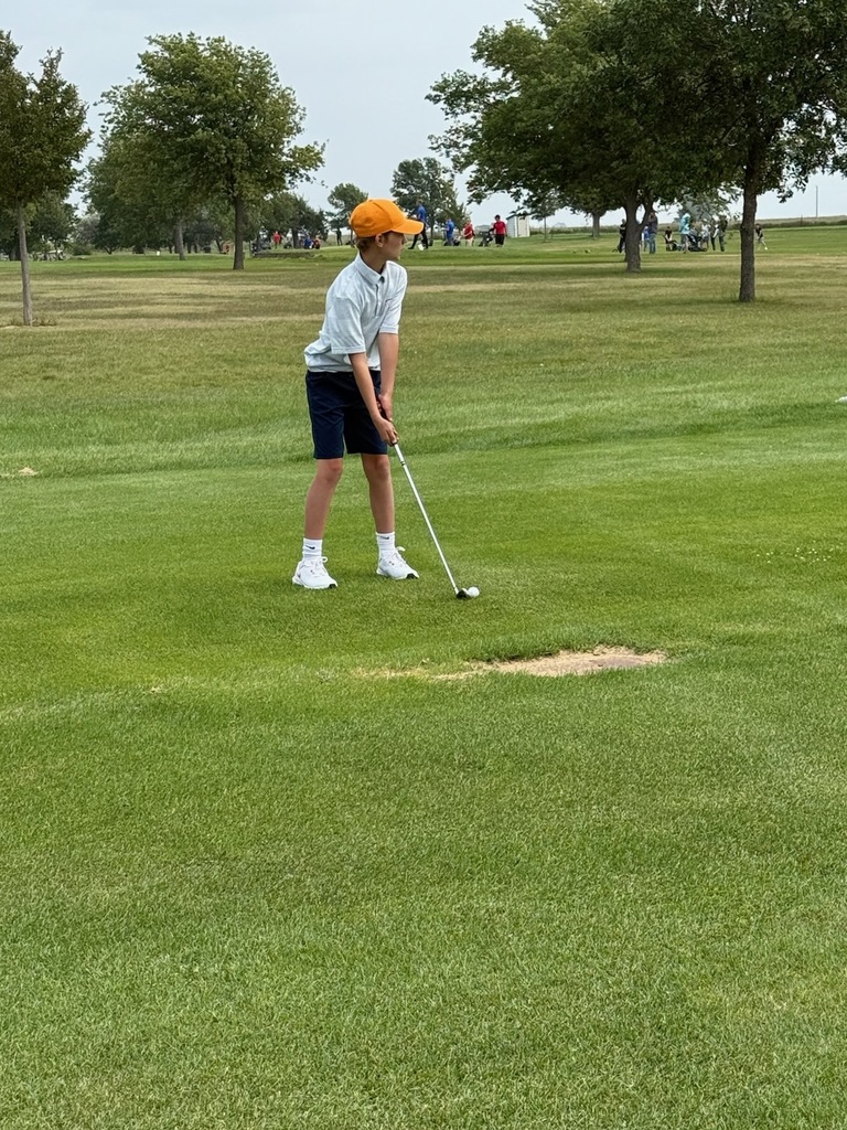 golfer 1