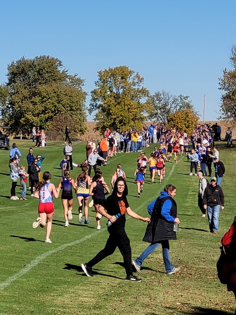 Fans Cheering