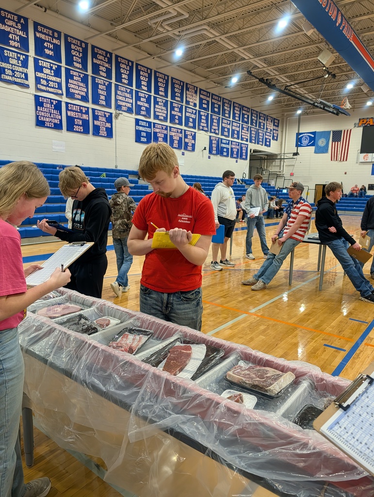 meat judging