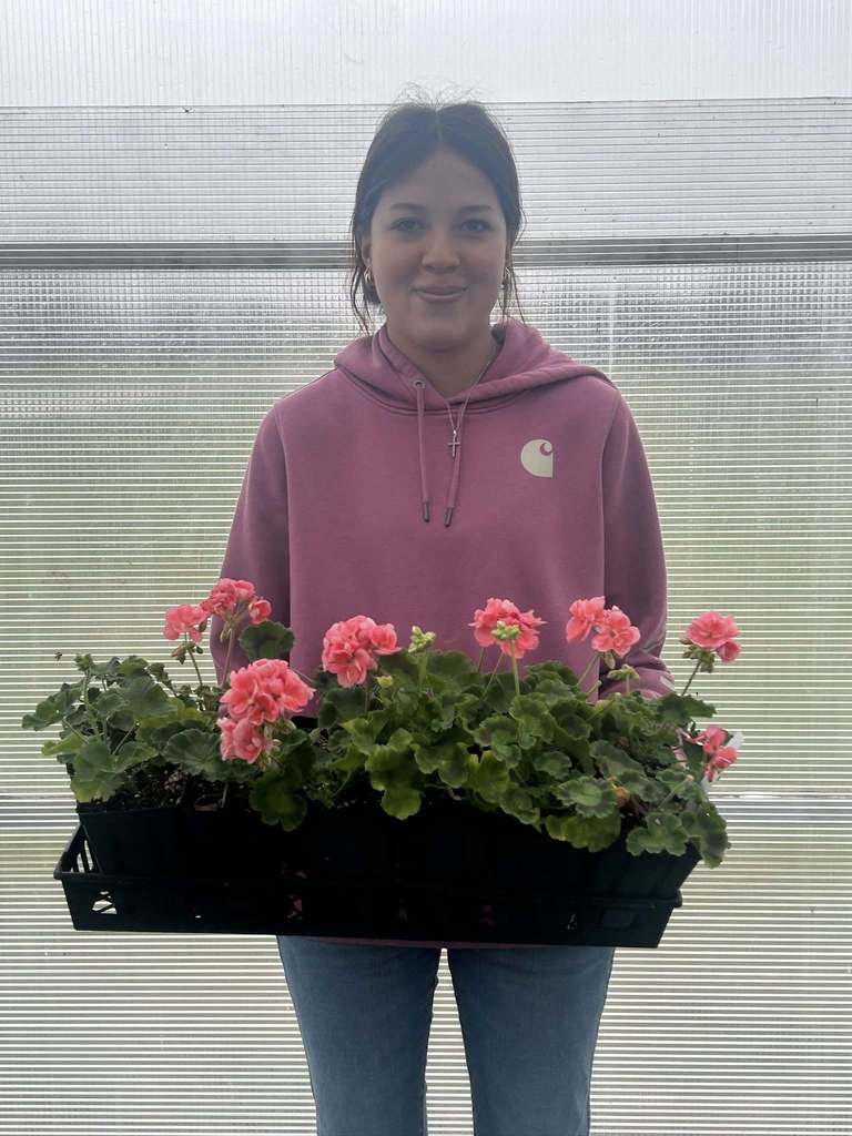 Girl Holding Pink Plants