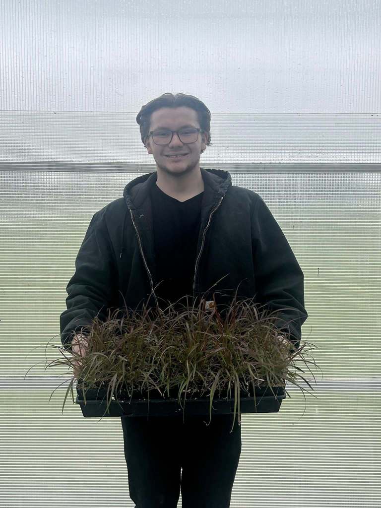 Boy Holding Grasses