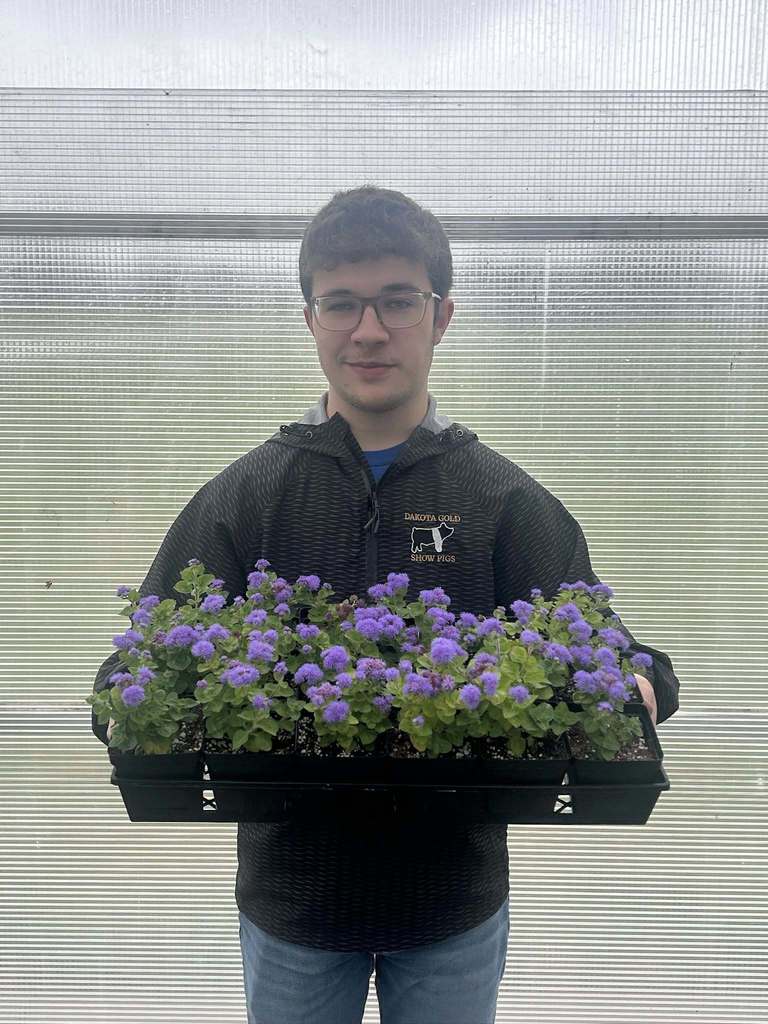Boy Holding Blue Plants