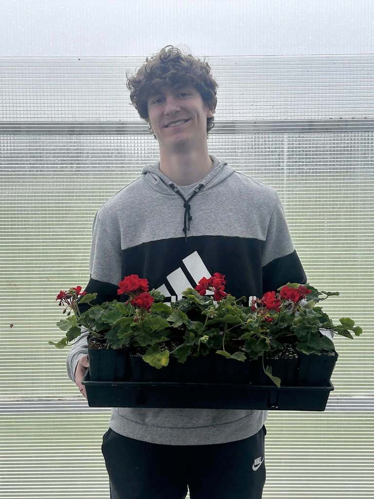 Boy Holding Red Plants