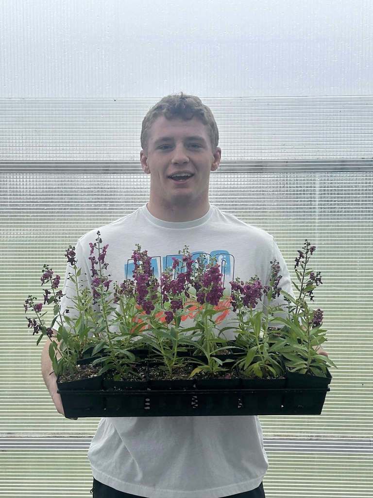 Boy Holding Purple Plants