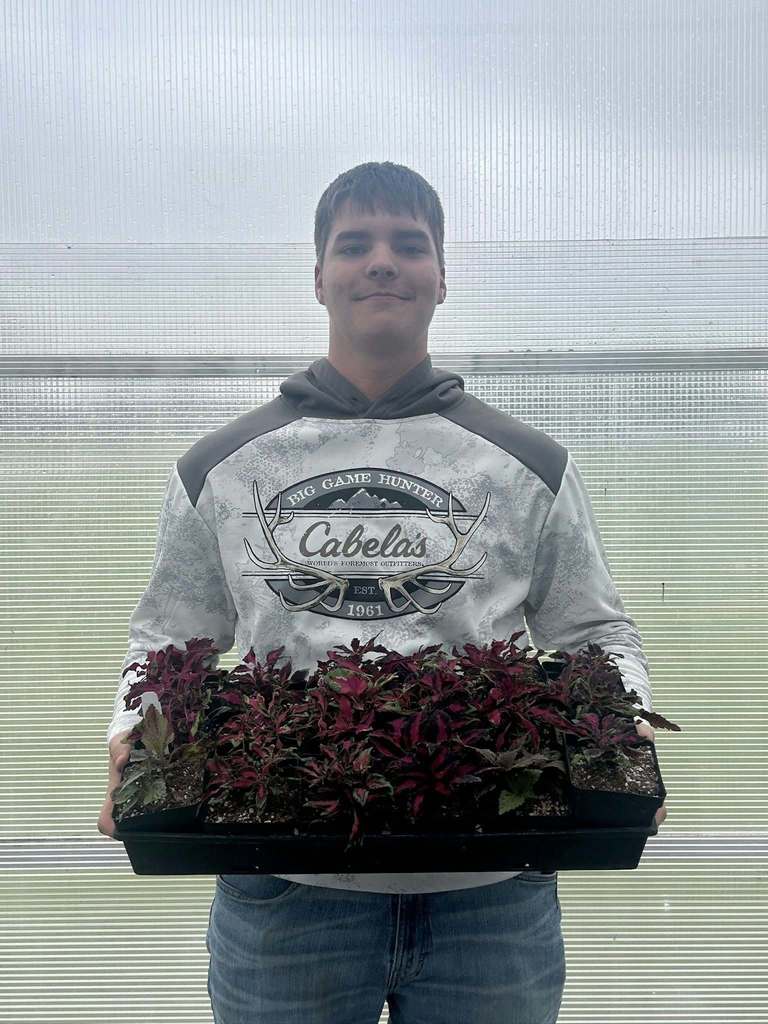Boy Holding Purple Foliage Plants
