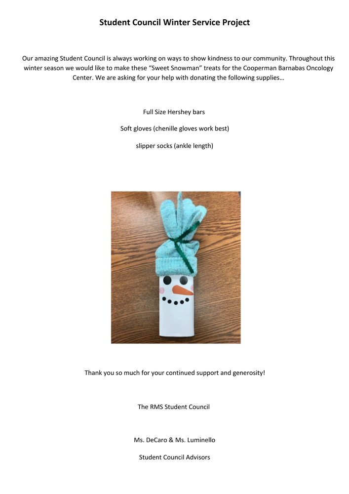 Student Council Winter Service Project