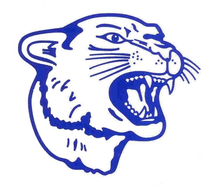 cougar