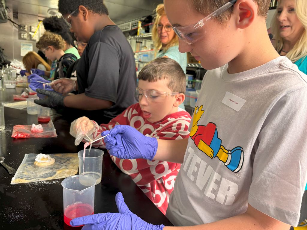 Students lift the separated DNA from their fruit, and see it looks like mucus.