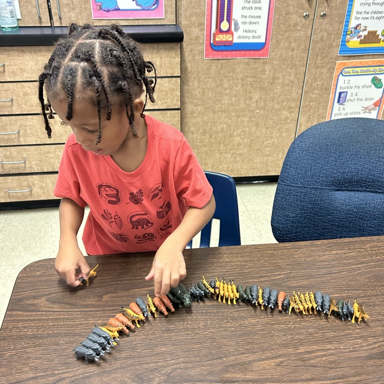 Focused on animals!