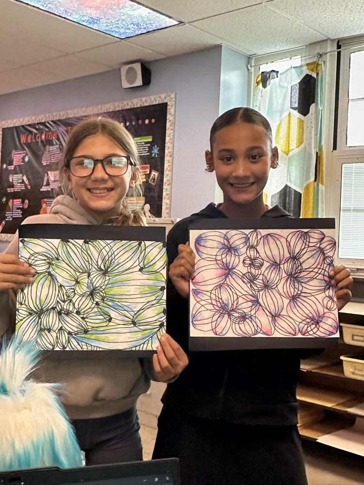 6th Grade Optical Illusion Value Shading Project “Optical Onion”