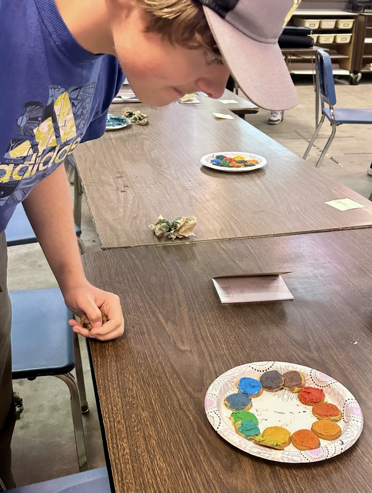7th & 8th Grade Art