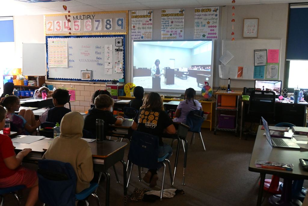 A defense lawyer speaks to the jury of third grade students to plead her clients case.