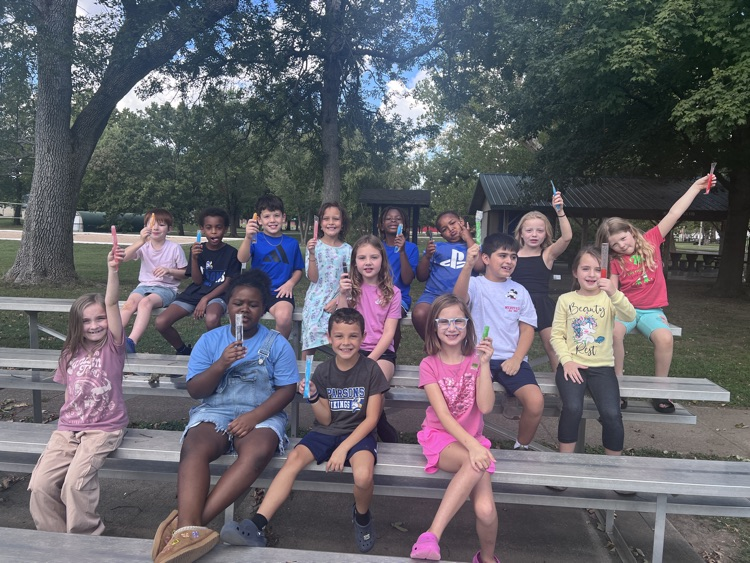 park and popsicles