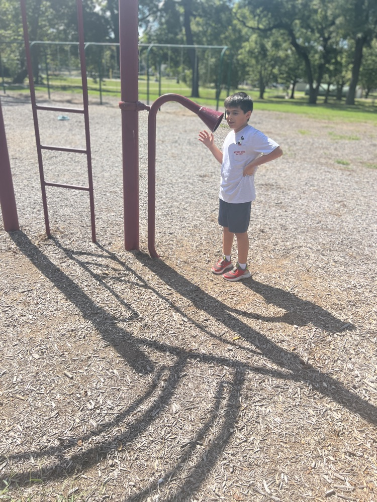 park and popsicles