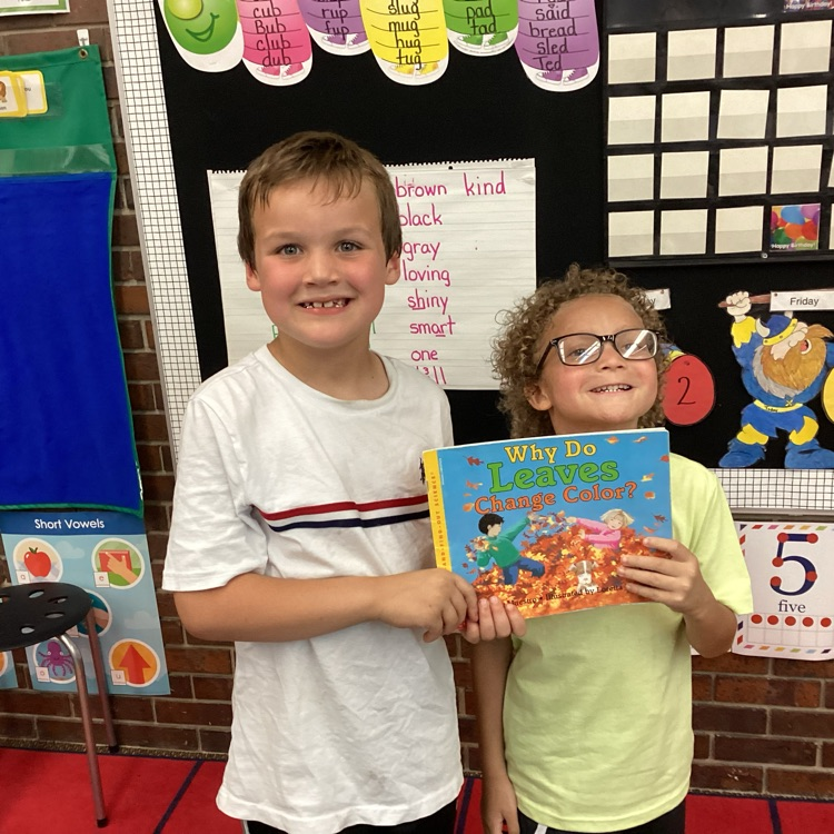 Books are fun.