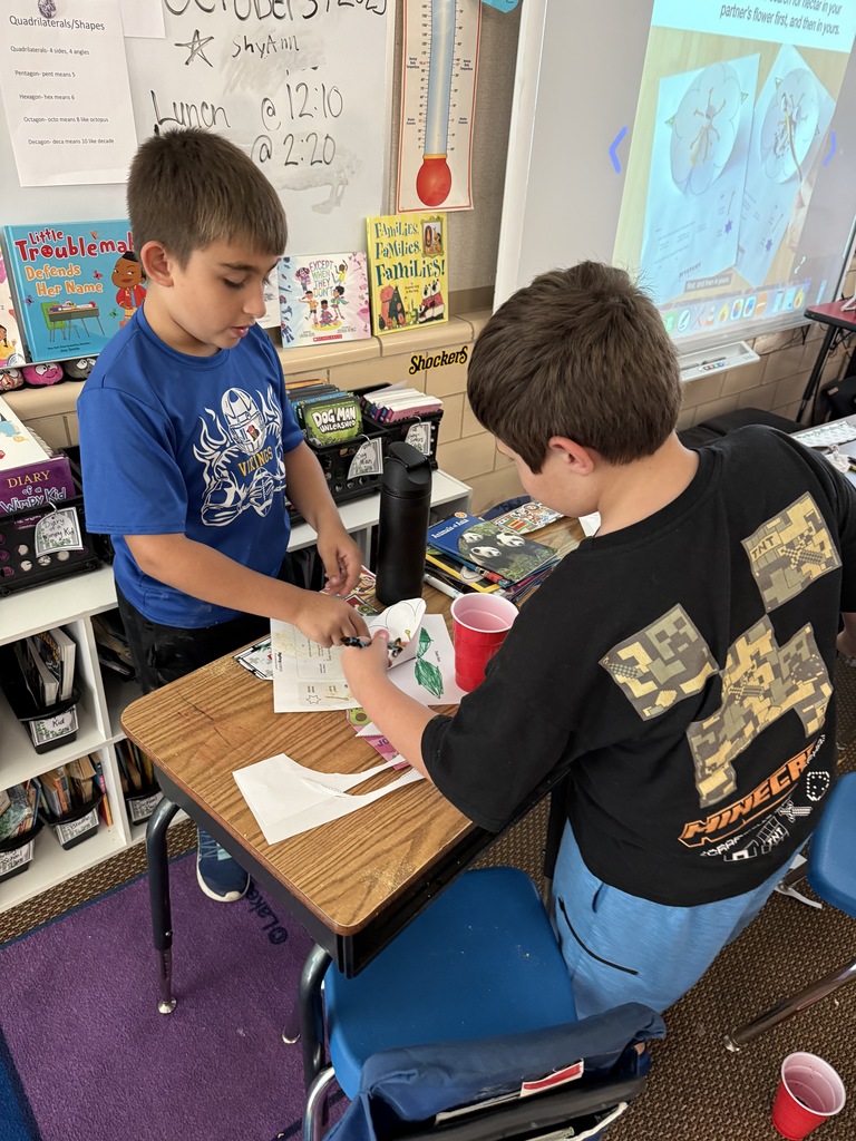 Mystery Science about pollination with 3rd graders.