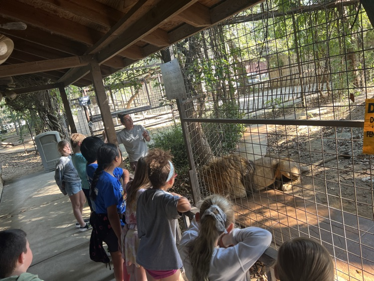 zoo