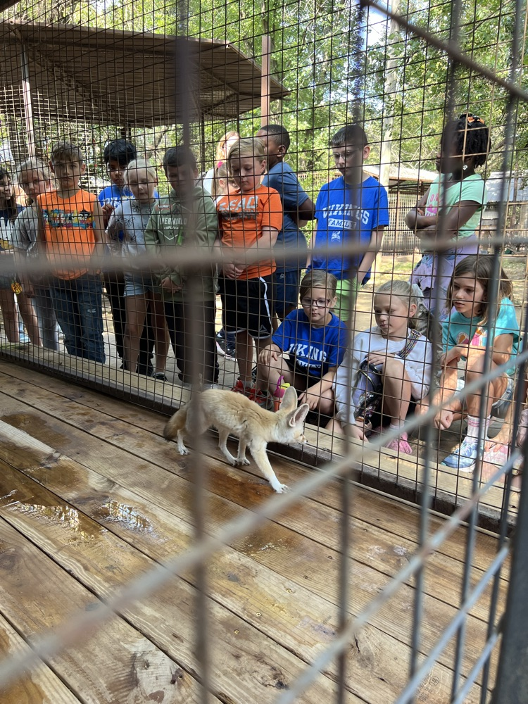 zoo