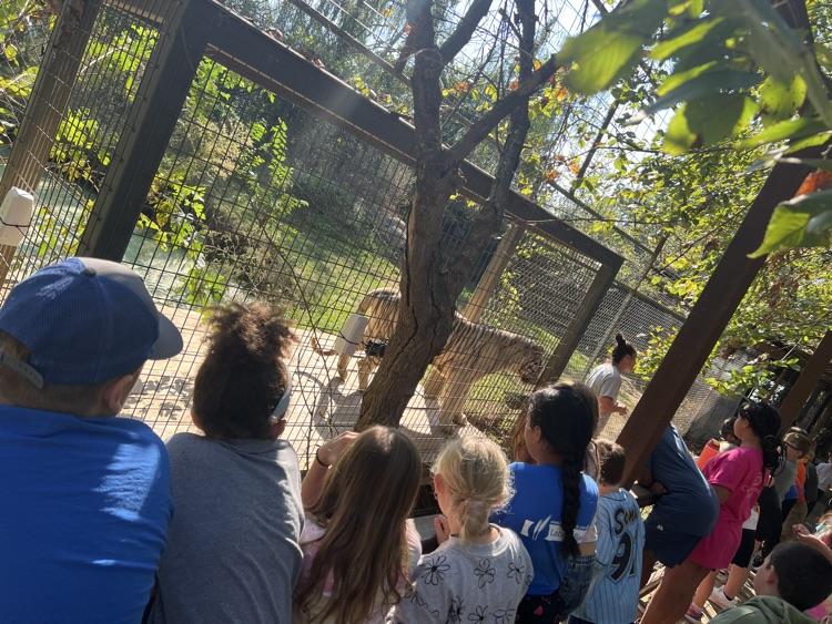 zoo