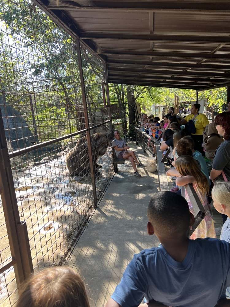 zoo